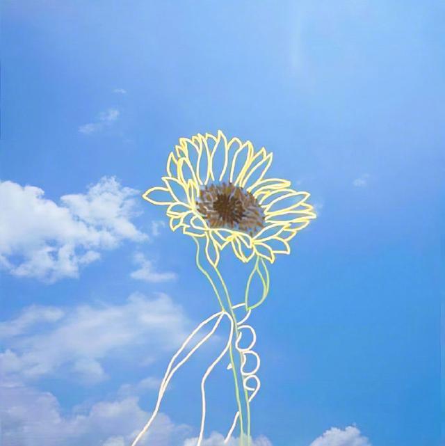 清晨的阳光唯美句子（冬日晨曦的第一缕阳光）