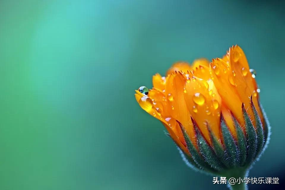 我最敬佩的人300字（描写最敬佩的人优秀范文）