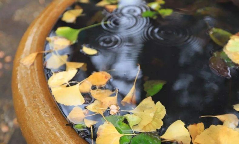 冬天的雨的优美句子（抖音上最火的下雨说说）