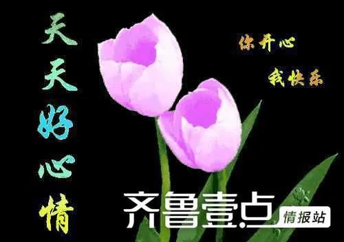 闲花淡淡春表达的意思（养花闲意唯美句子）