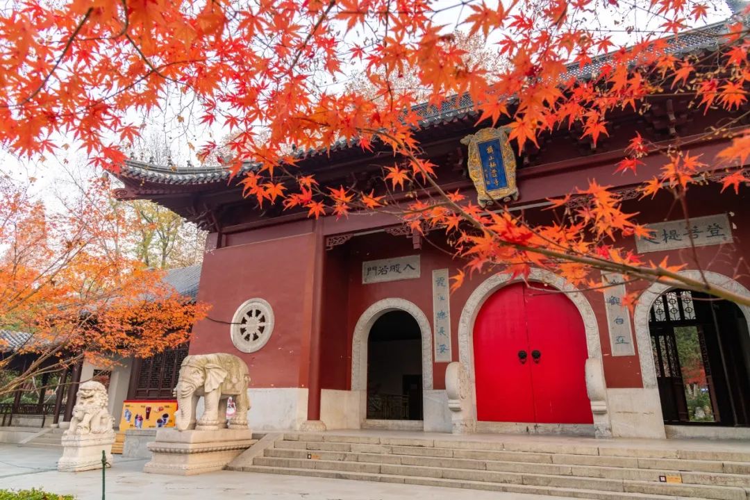形容秋天的句子唯美短句（赞美秋天美景短句）