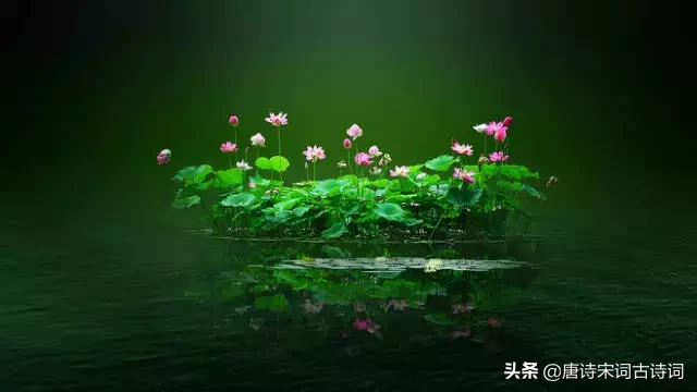 形容初夏的诗句古诗（描写初夏的优美诗句）