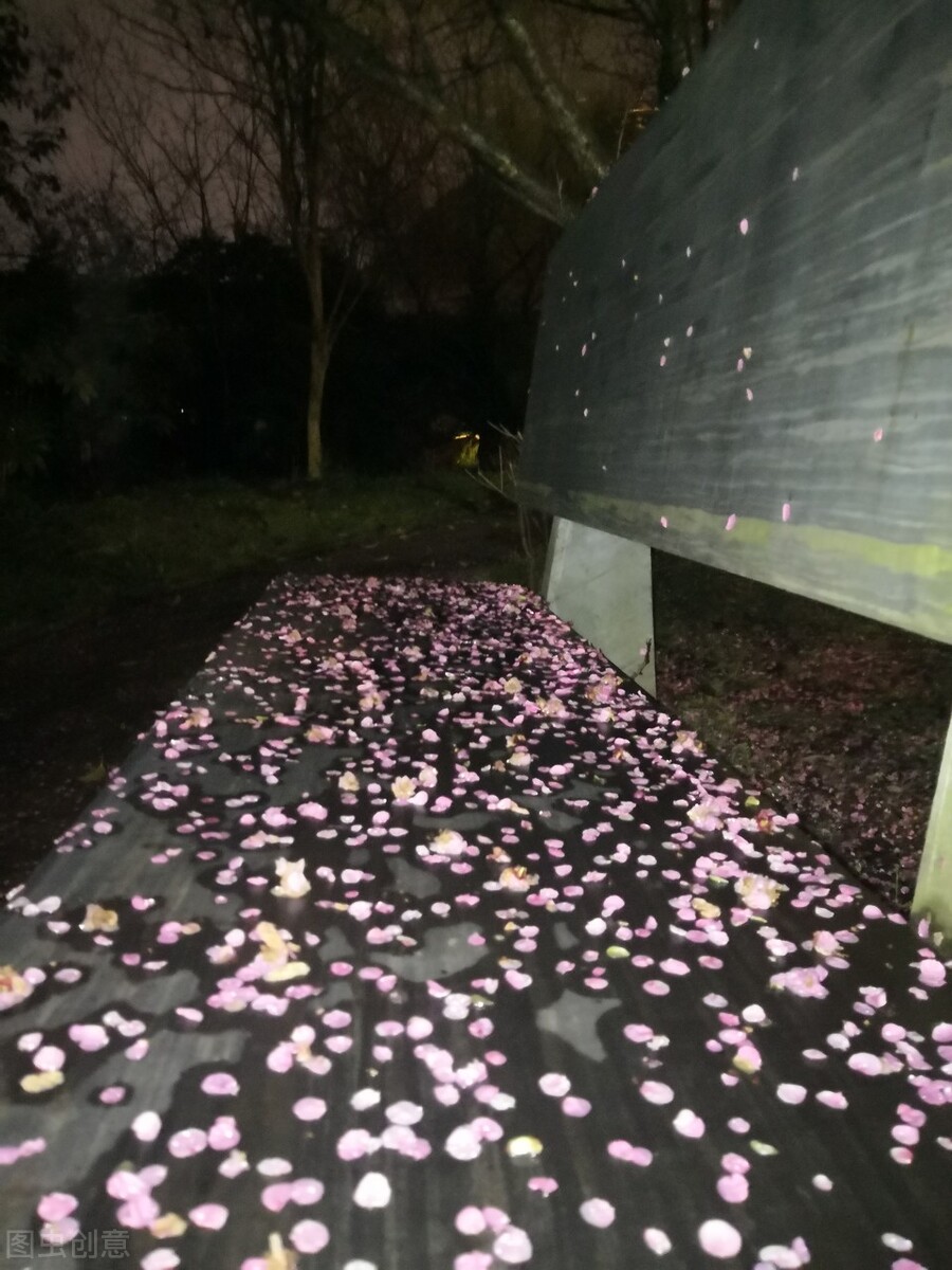 梦里花落知多少唯美句子（与花有关的温暖浪漫的古诗词）