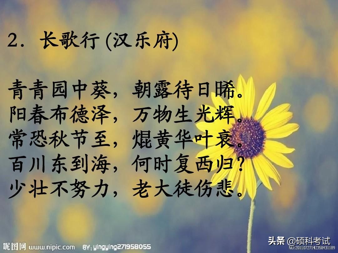 小学必背古诗75首全文（教科书必背的75首名诗）
