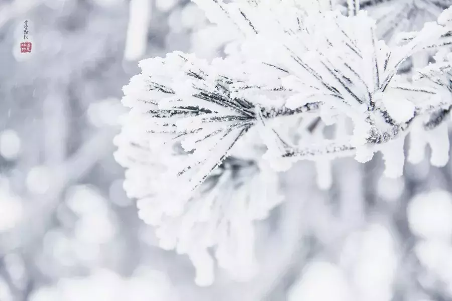 关于雪的现代诗歌（描写大雪的现代诗歌）