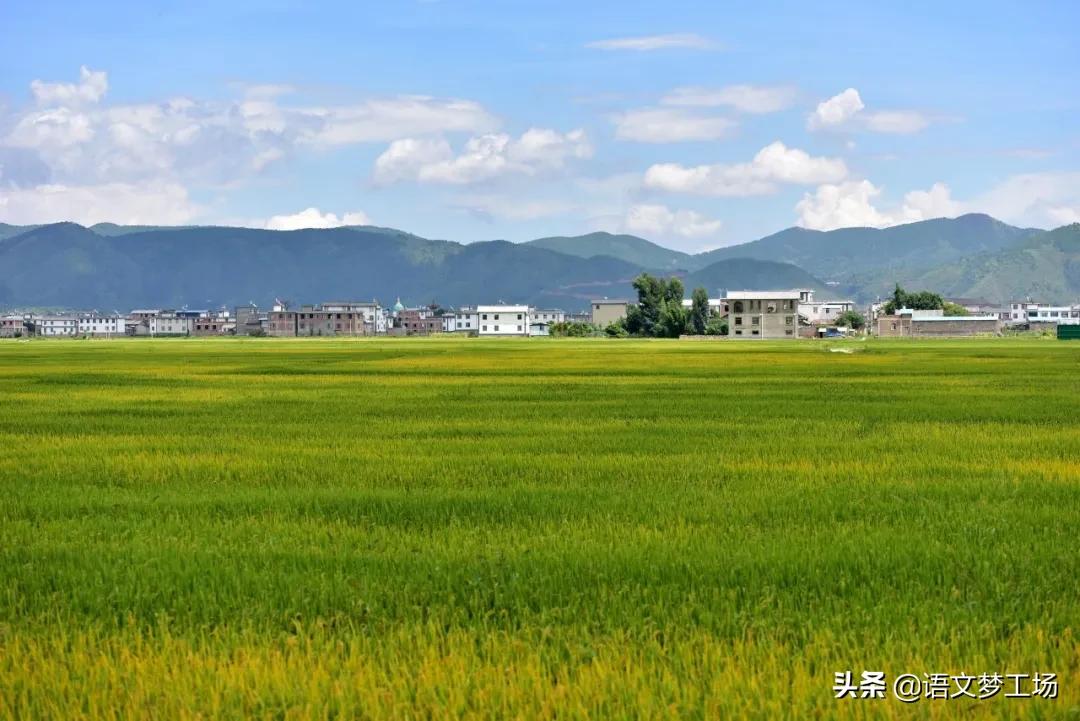 名人对袁隆平评价的句子有哪些（赞美袁隆平的唯美文案）