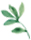 和晋陵陆丞早春游望赏析和译文（和晋陵陆丞早春游望全文）