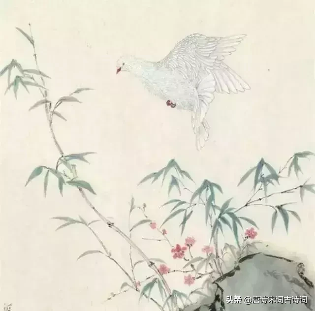 关于珍惜时间的古诗（惜时诗词大全100首）