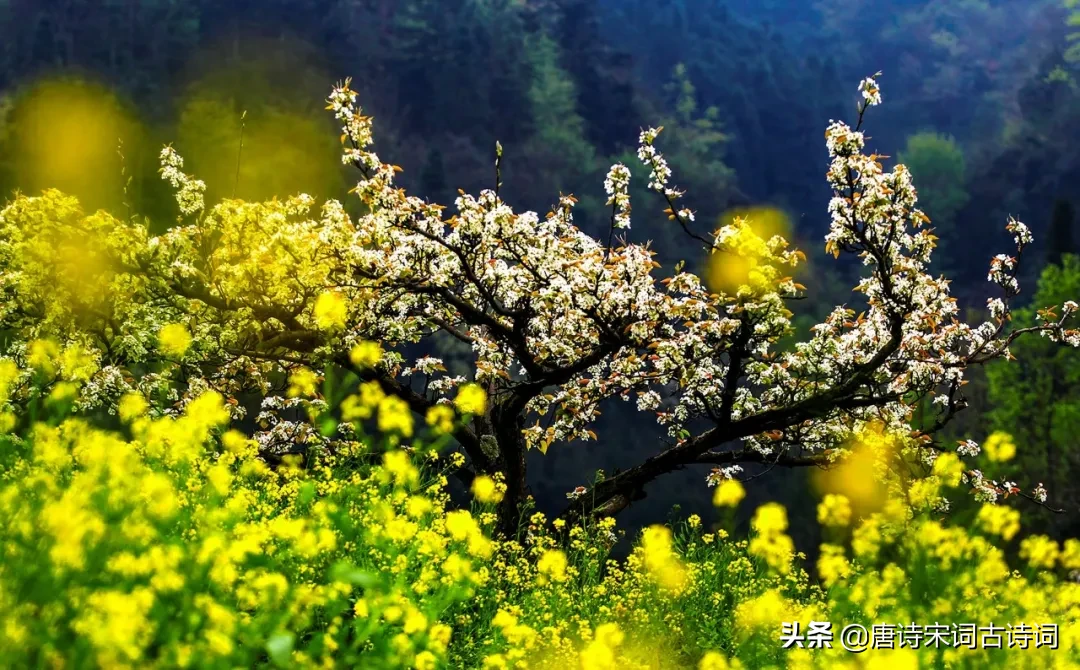 描写惊蛰节气的古诗（关于惊蛰的诗词唯美）