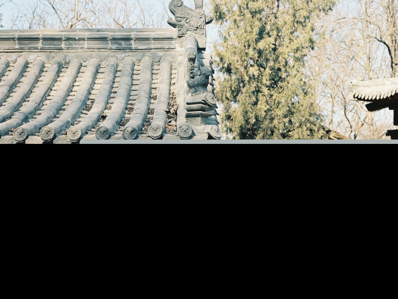 表示感谢的诗句有哪些（感恩的诗句经典十句）