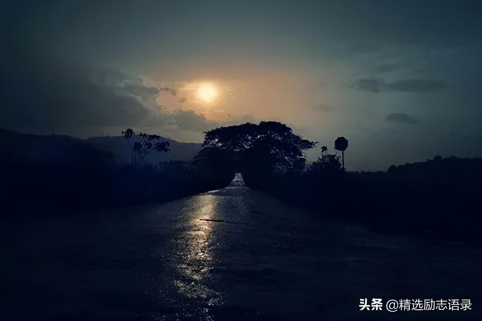 感恩相遇的句子经典语录（相遇不易彼此珍惜句子）