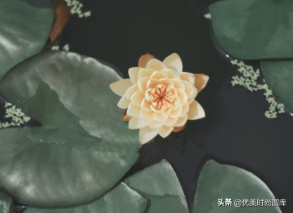 形容下雨天的句子（适合发朋友圈的32条雨后说说）