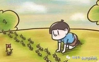 观察日记200字（观察日记范文精选）