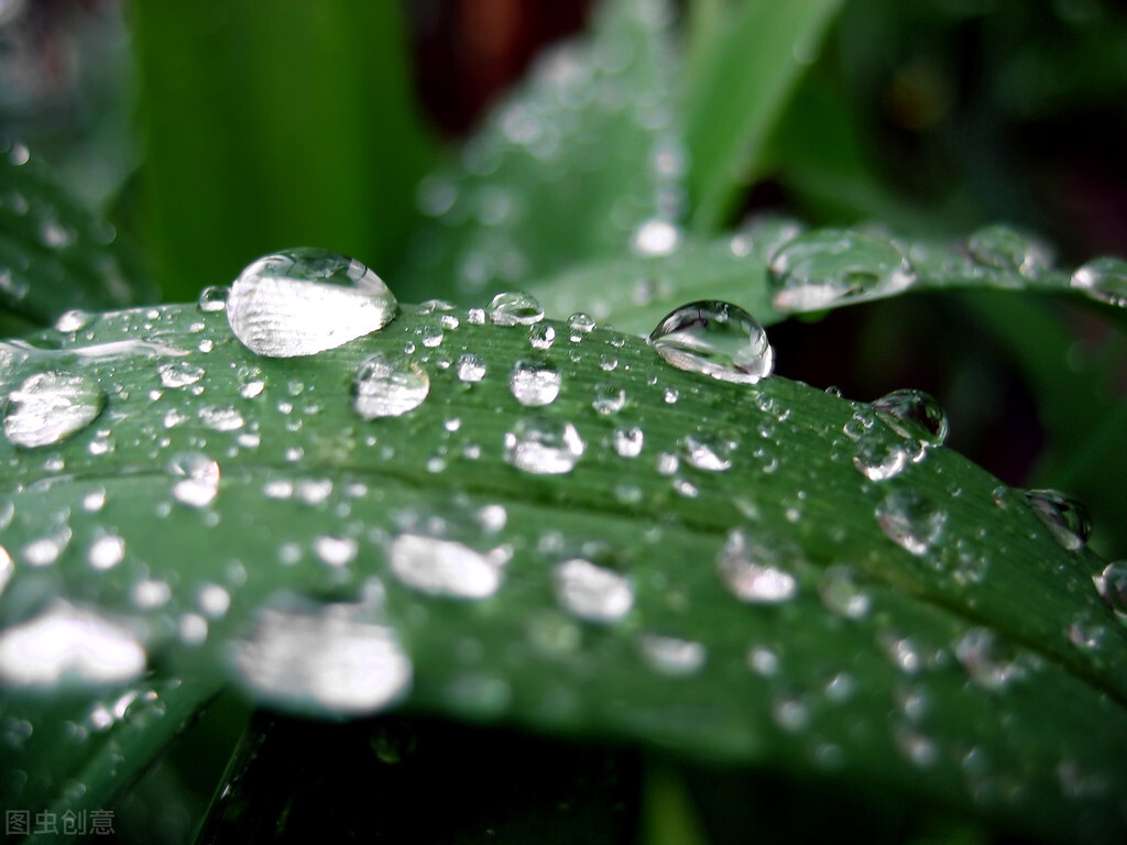 关于雨的散文名篇（描写雨的唯美散文）