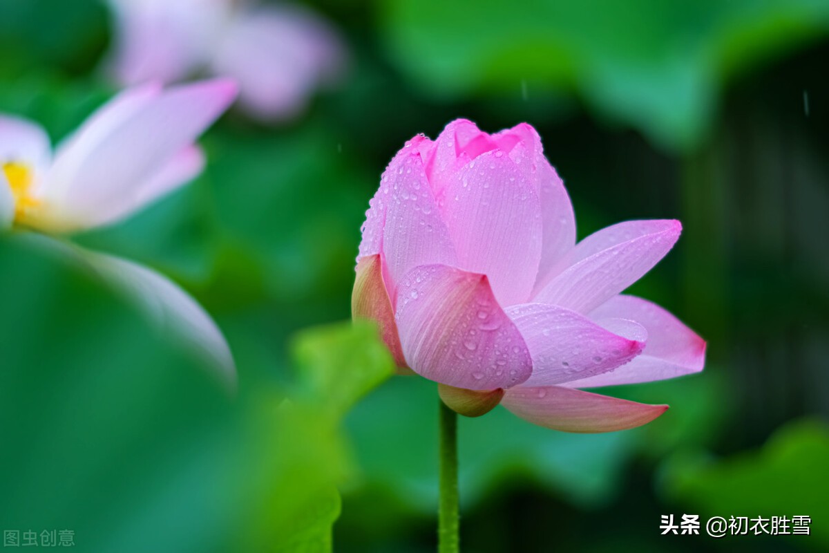 二十四节气立秋古诗（立春古诗词大全 ）