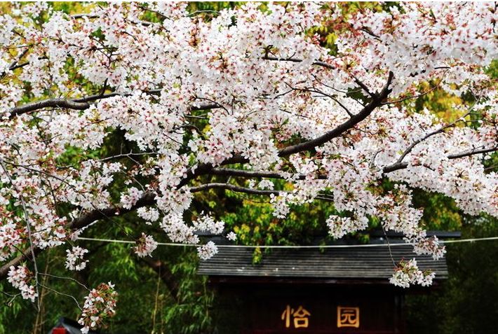 描写春景的古诗有哪些（15首春景古诗欣赏）