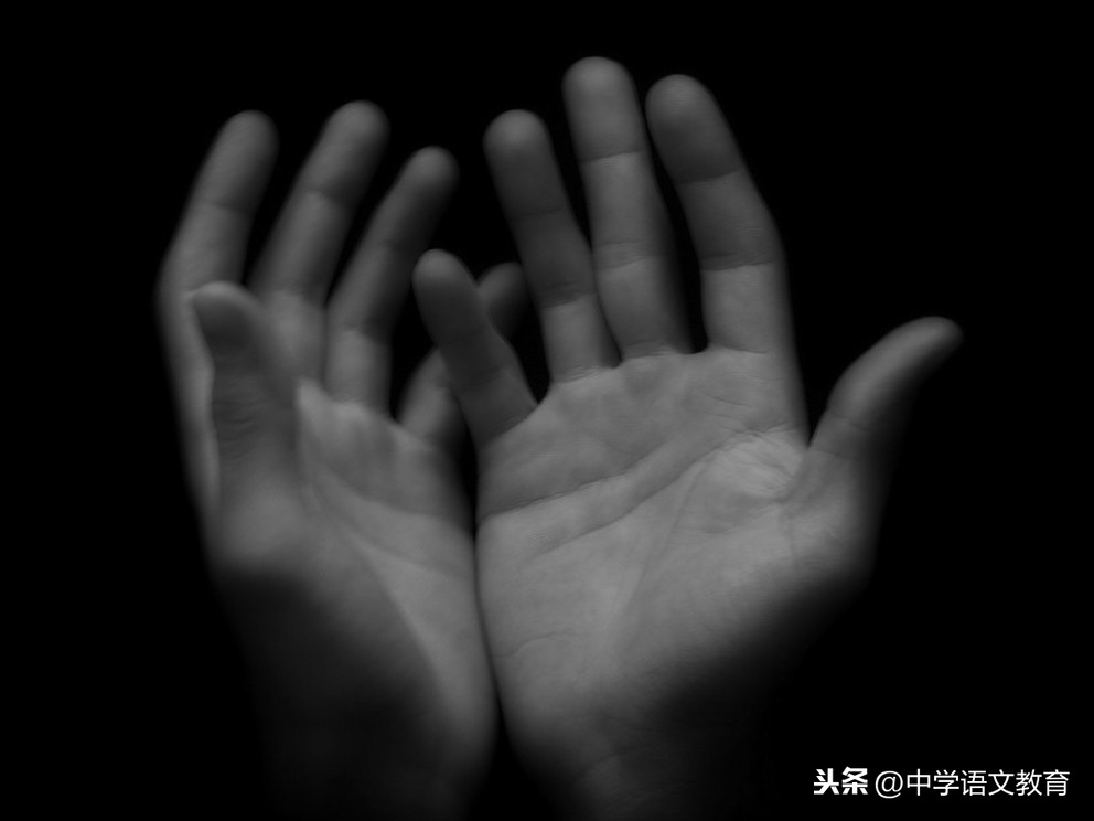 关于宽容的句子有哪些（分享23条宽容经典句子）