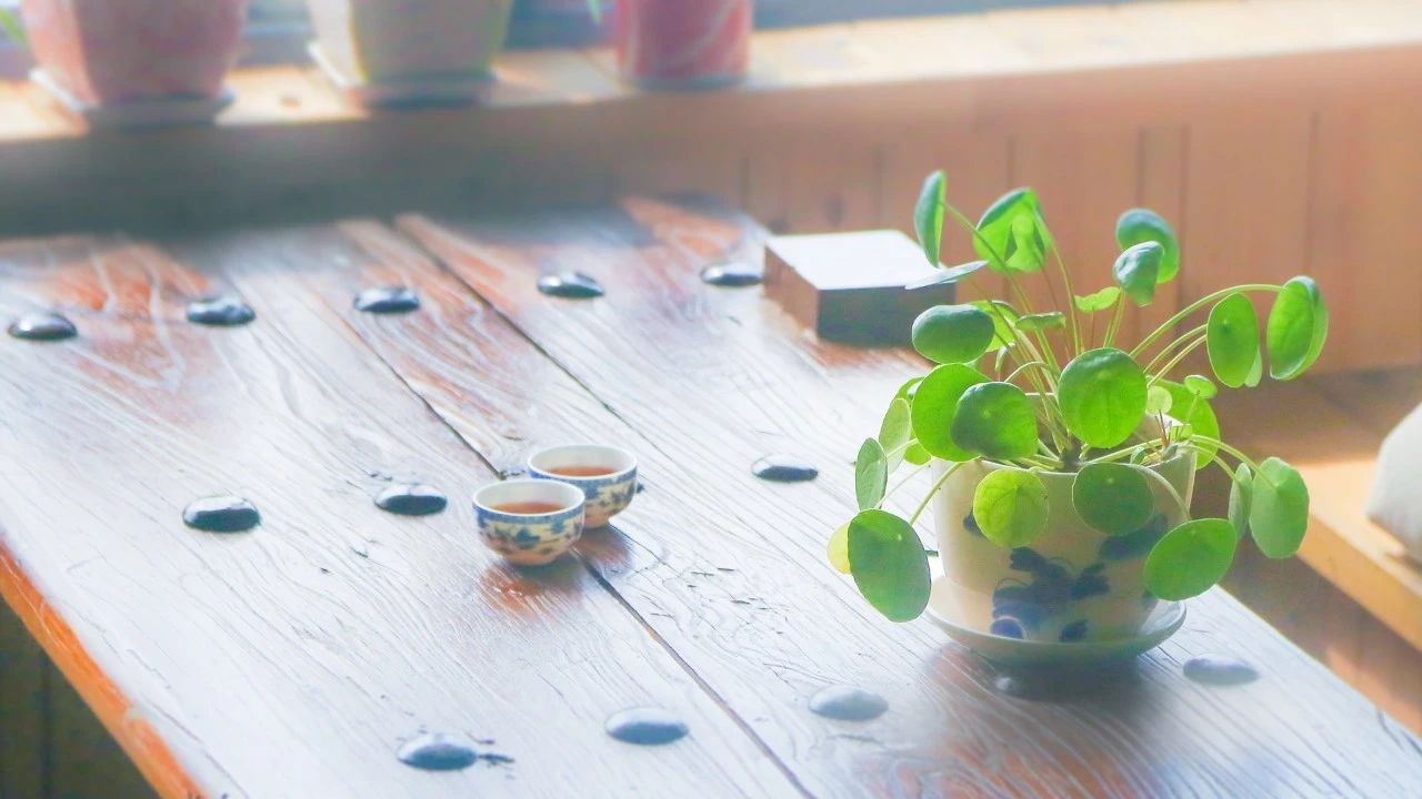被温柔以待类似的句子简短（温柔以待唯美句子分享）
