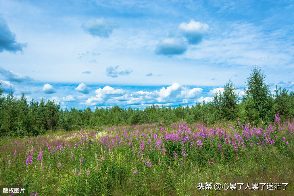 简单而又幸福生活的句子（温馨幸福的心情说说）