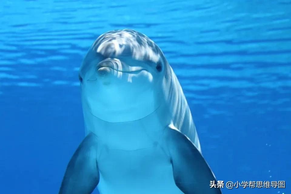 记一件难忘的事作文（难忘的一件事300字大全）