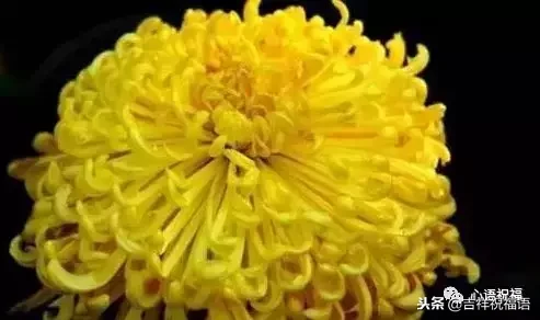 想念天堂父母短句（想念天堂的亲人的句子）