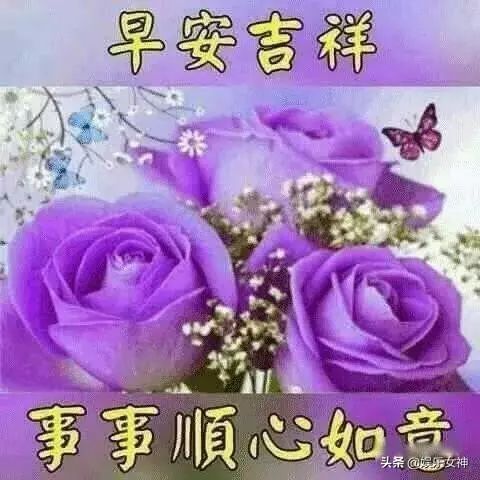 赞美朋友和友谊的句子（赞美好朋友之间的友情句子）