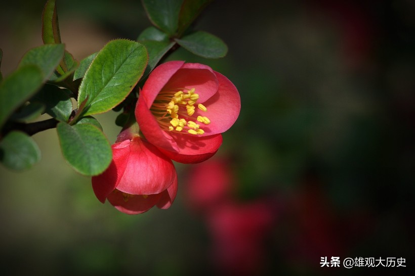 描写春天的诗歌短一点简单（关于春天的古诗大全）