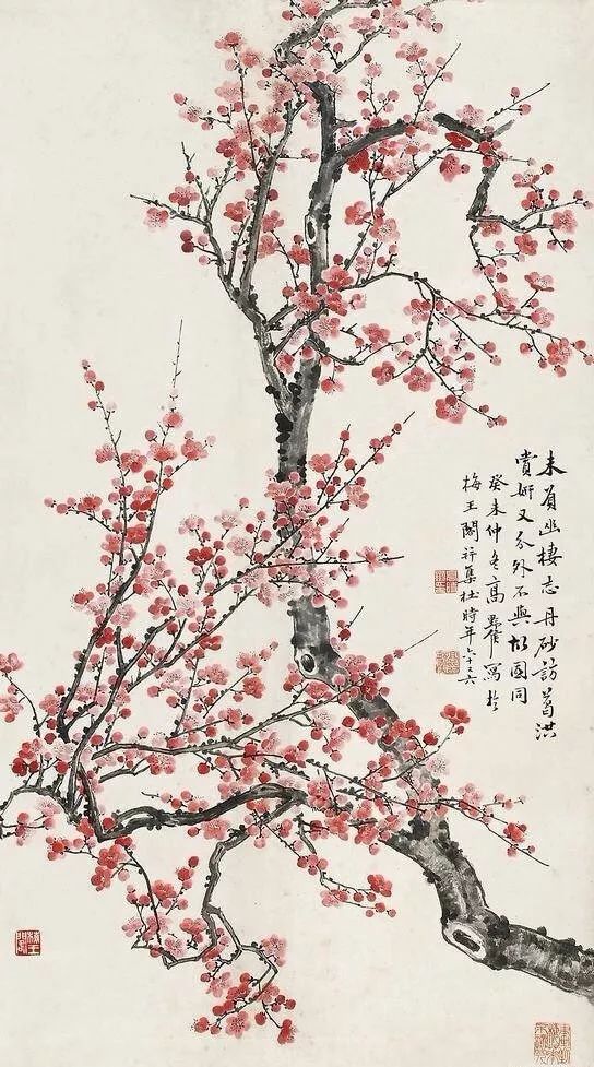 写梅花的诗有哪些（赞美梅花的诗句）