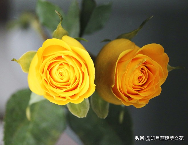 一切安好的唯美句子（很暖很治愈的短句）