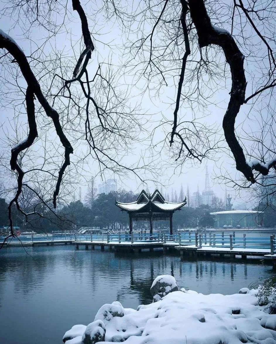 关于雪的诗歌有哪些（描写雪的经典诗词）