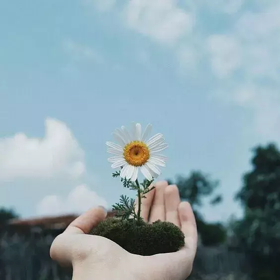 圣经金句必背洁净心灵的句子（《圣经》中的十句金句）