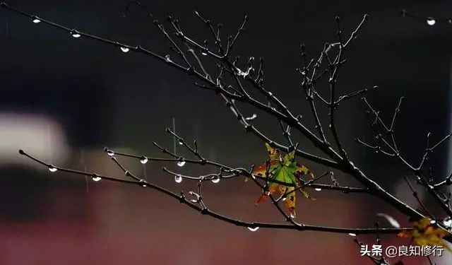 关于描写秋天的诗句（描写秋天的优美诗句子）