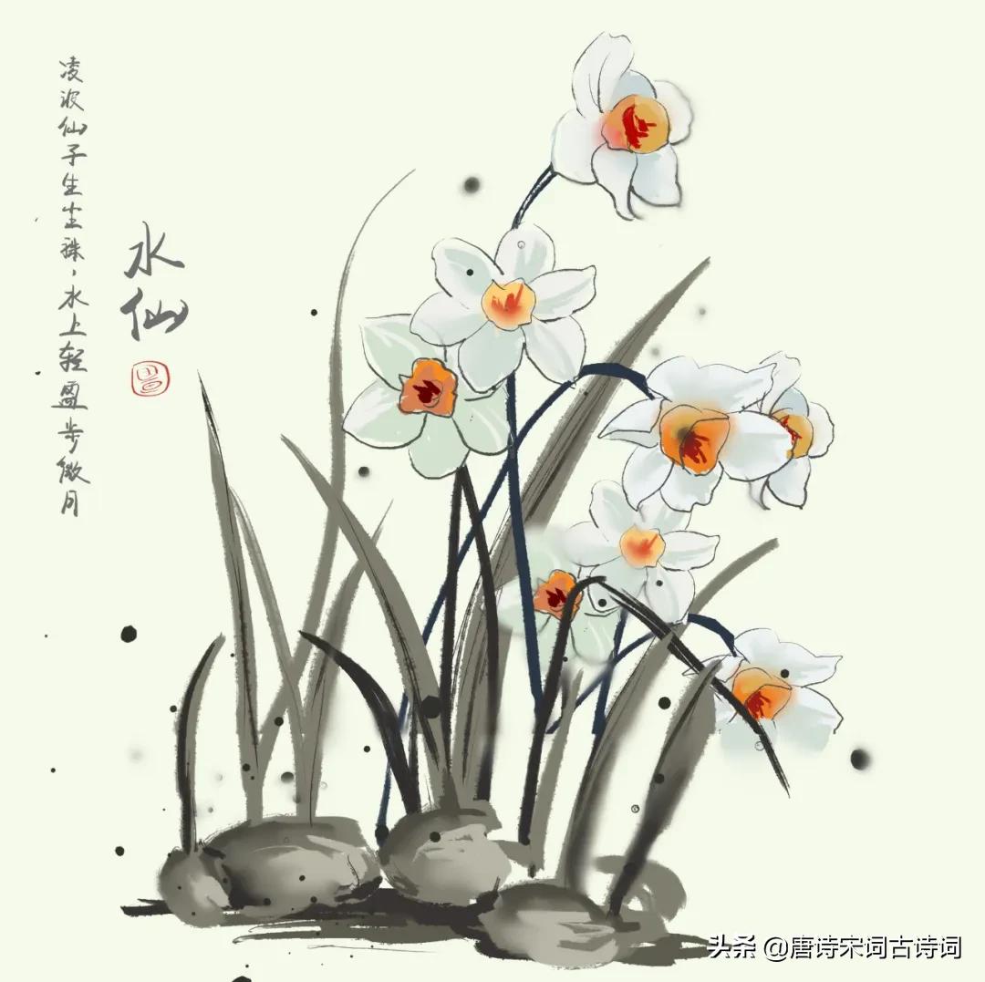 水仙花的诗句有哪些（描写水仙花的现代诗）