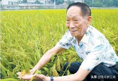 名人对袁隆平评价的句子有哪些（赞美袁隆平的唯美文案）