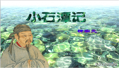 小石潭记原文及翻译（小石潭记知识点整理）