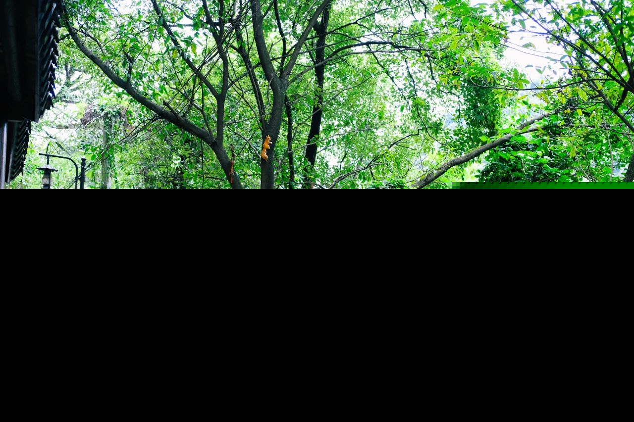 励志的古诗词名句大全（经典励志诗词名句大全）