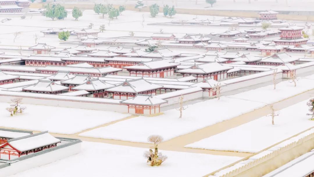 关于雪的诗词名句（描写雪的诗句古诗大全）