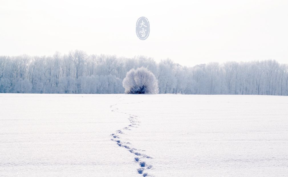大雪节气诗词鉴赏（二十四节气大雪古诗）