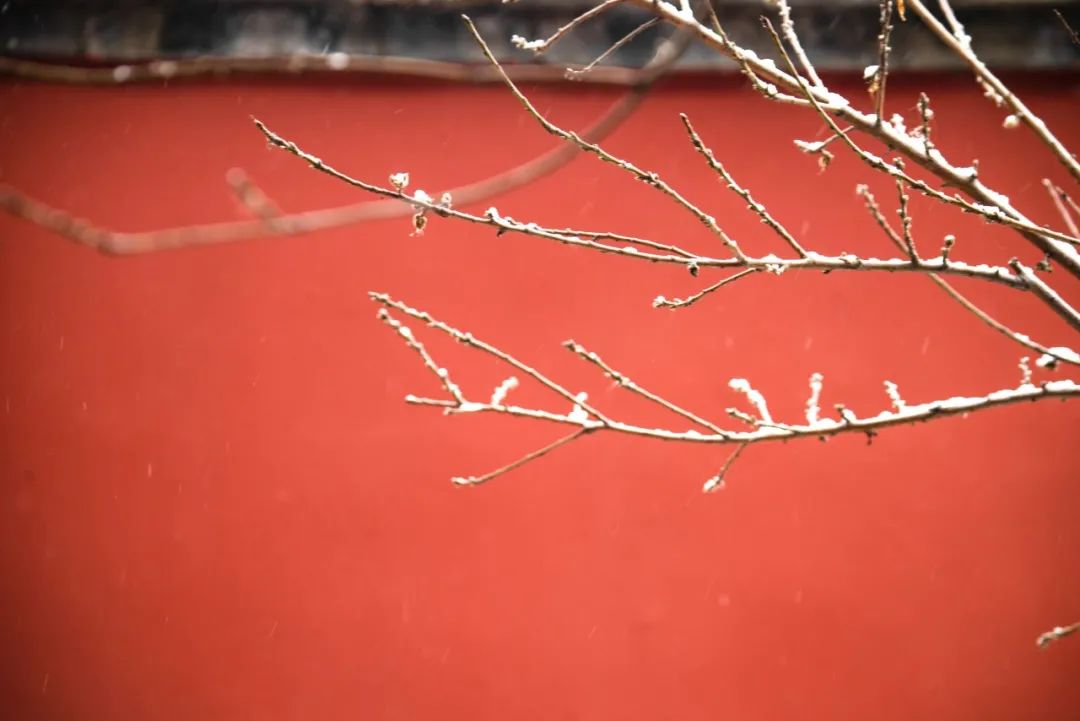 写雪的诗句优美句子（古诗中带有雪的诗句）
