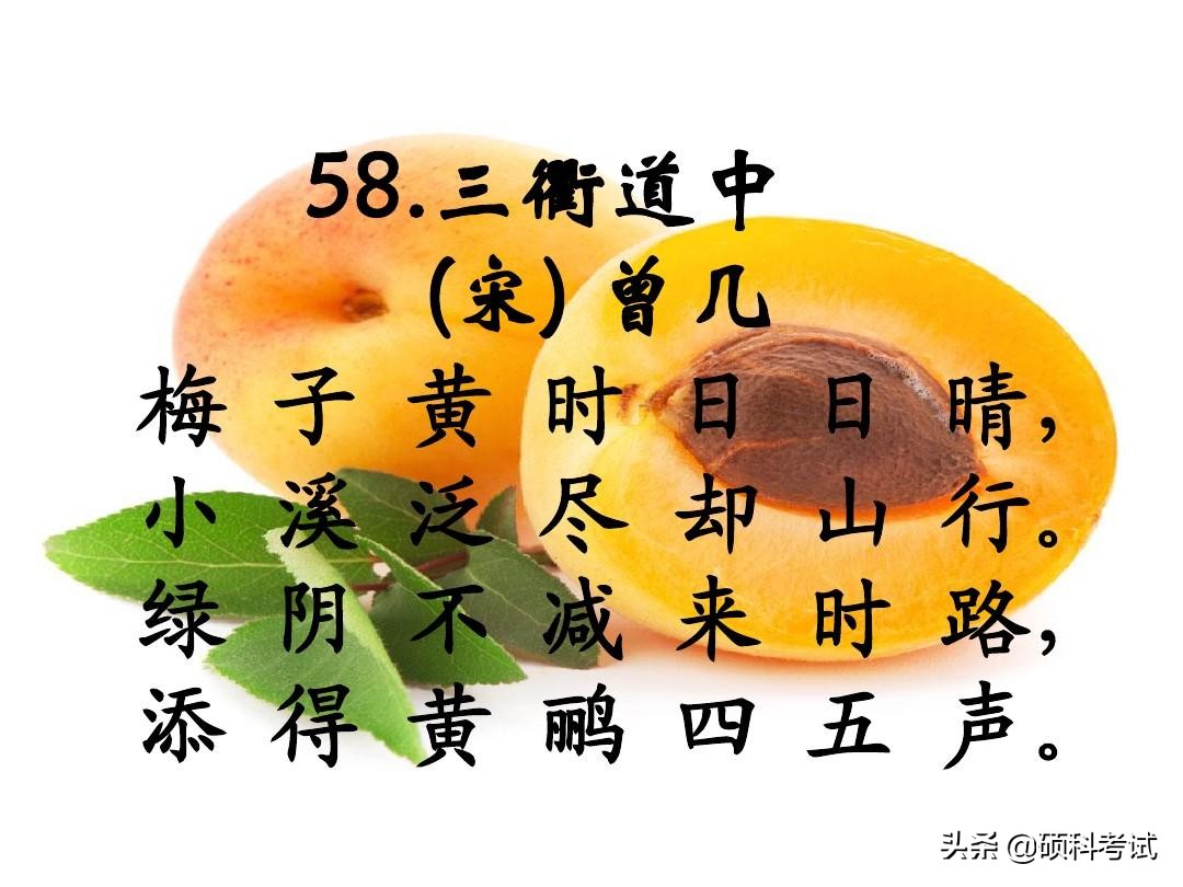 小学必背古诗75首全文（教科书必背的75首名诗）