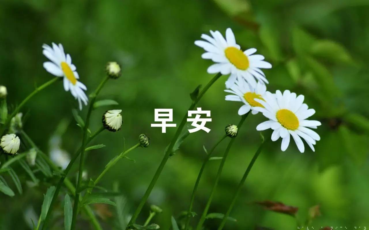 风雨过后见彩虹的句子大全（彩虹的正能量短句）