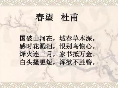 杜甫春望全诗翻译与赏析（春望原文及翻译注释赏析）