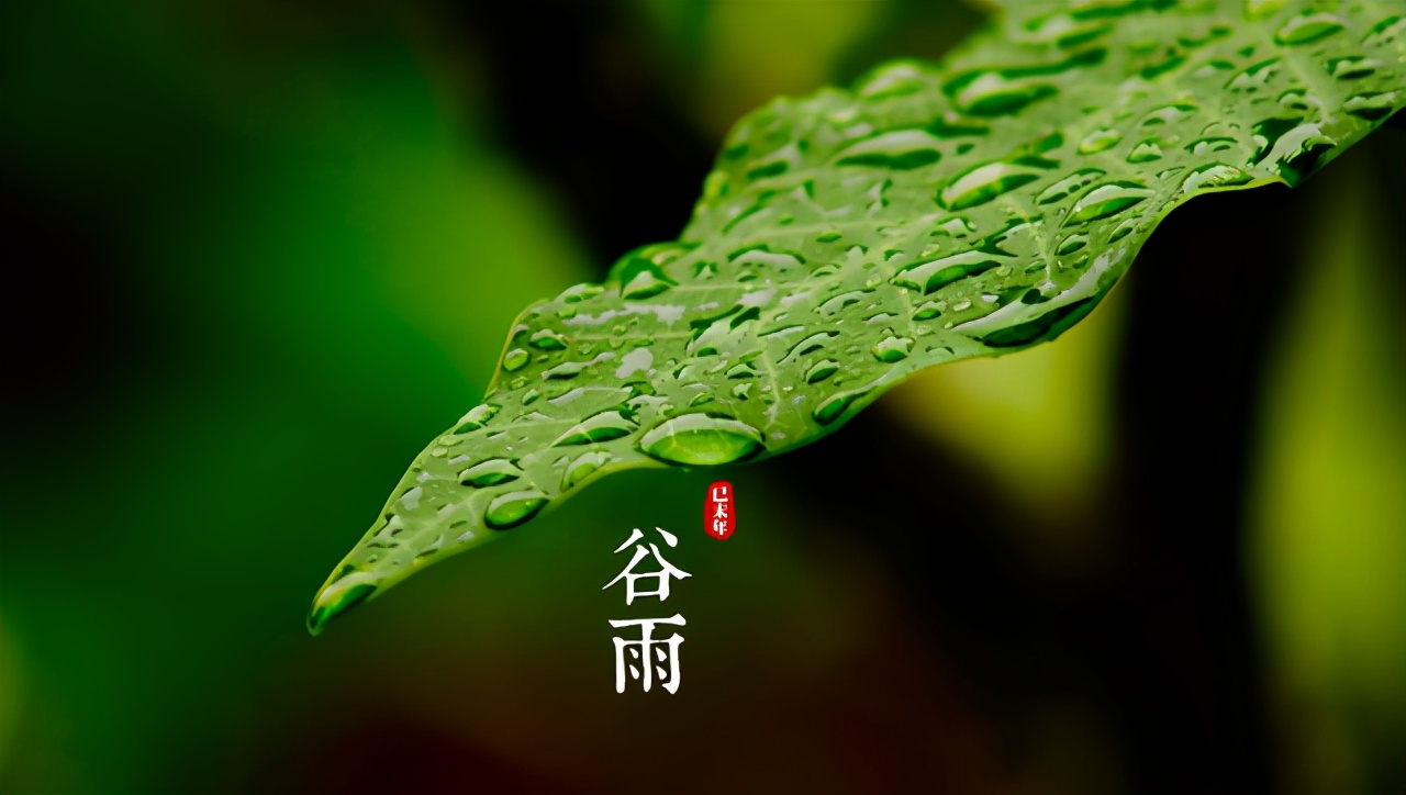 范成大蝶恋花古诗赏析（分享蝶恋花诗文内容和诗意）
