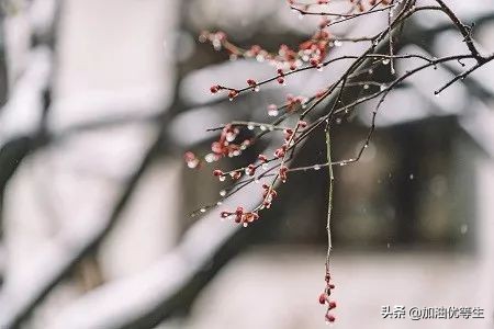 渔家傲秋思赏析（渔家傲秋思原文翻译及注释）