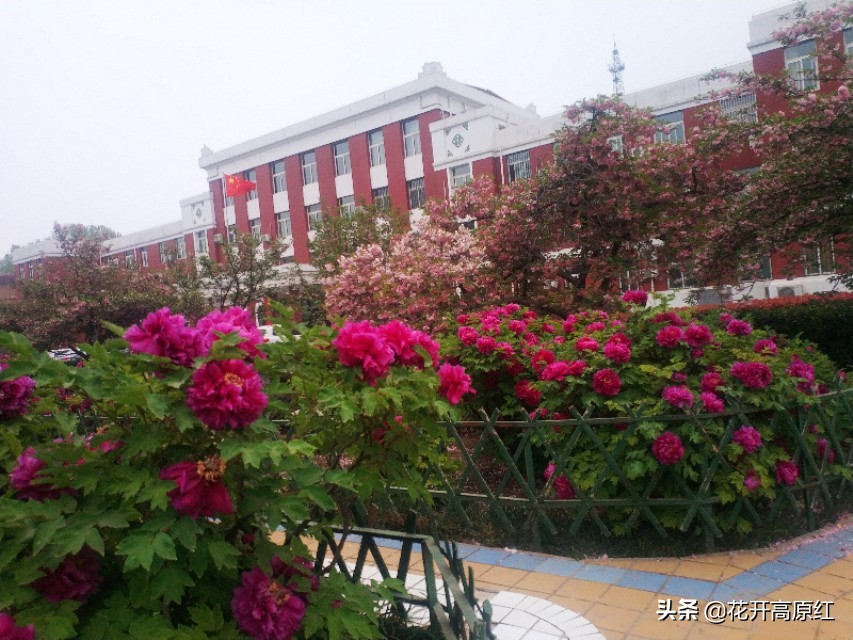 洗尽铅华繁华落尽是什么意思（洗尽铅华含义）