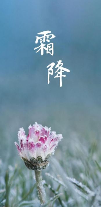 描写深秋的诗句（13首有关秋叶的诗句）