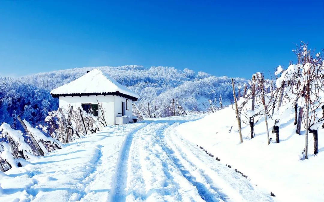 关于雪的诗歌有哪些（描写雪的经典诗词）