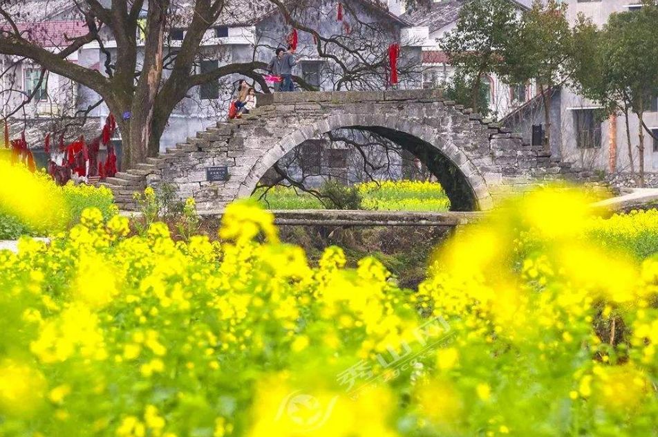描写春景的古诗有哪些（15首春景古诗欣赏）
