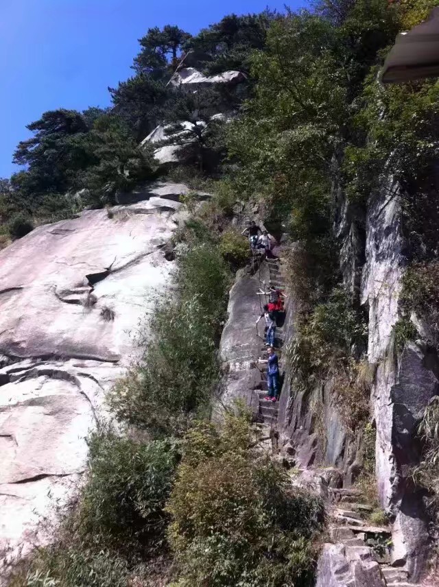 悬崖边的树诗歌赏析（抒情的现代诗短篇）