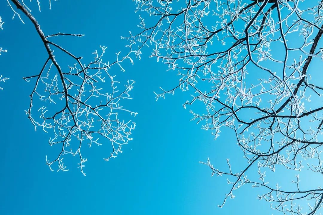 咏雪的古诗名句（关于描写雪的古诗大全）